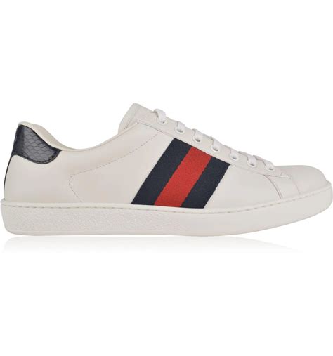 gucci ace blue and red